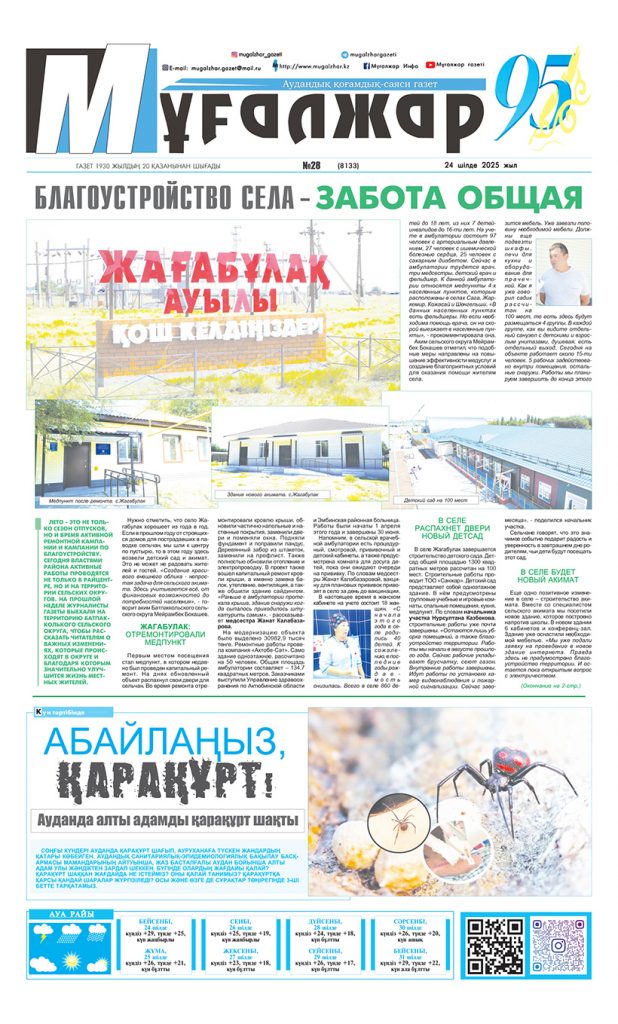 PDF НҰСҚА №28 (8133)