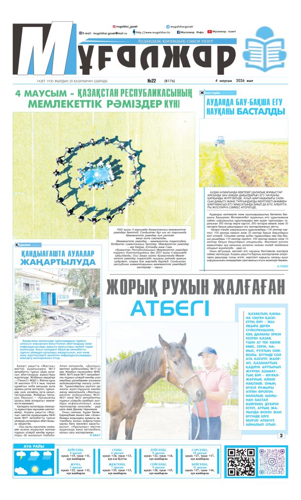 PDF НҰСҚА №22 (8176)