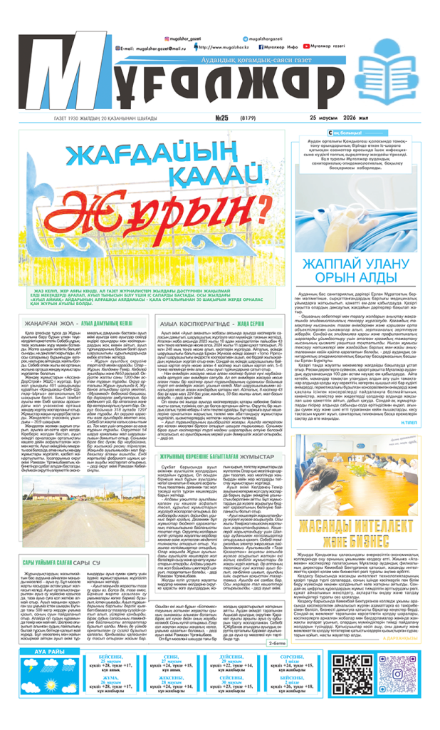 PDF НҰСҚА №25 (8179)